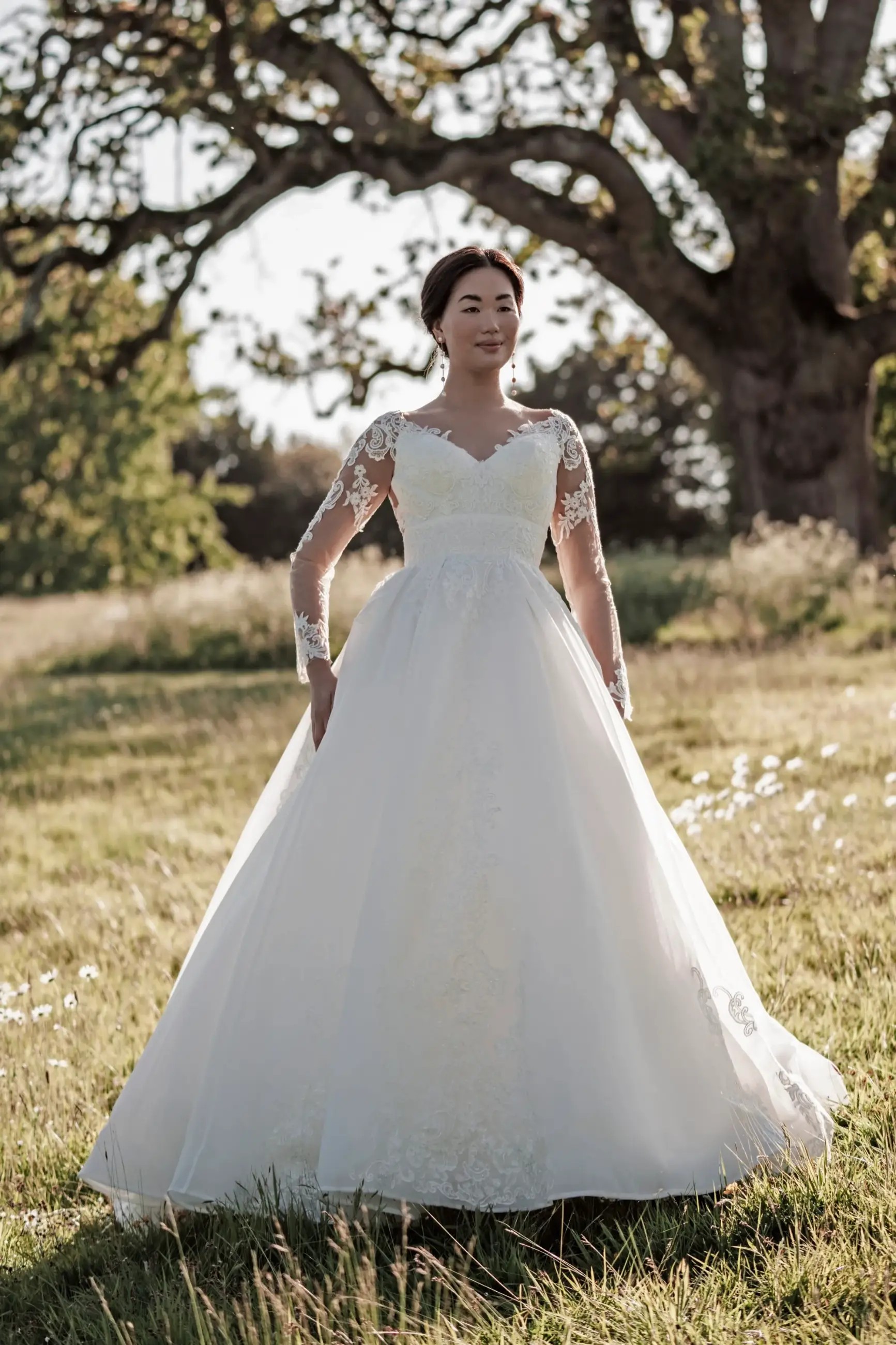 Unveiling Enchantment: A Spotlight on the Allure Bridgerton collection capturing the essence of 
