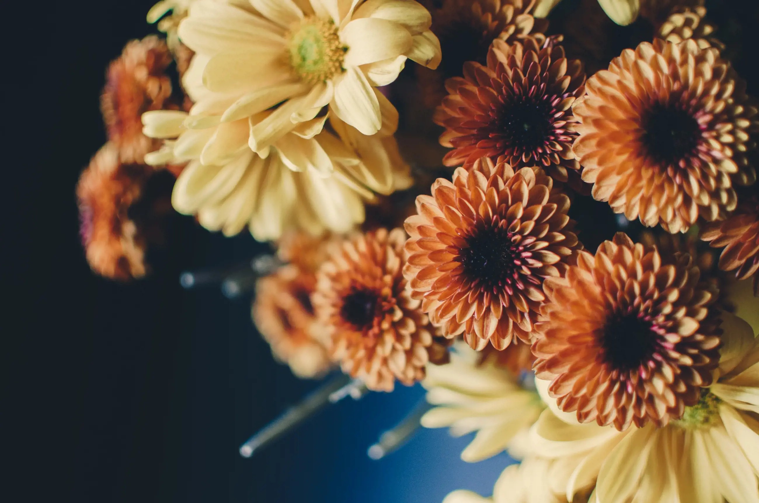 The Top 6 Wedding Trends for Fall 2023. Desktop Image